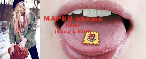 индика Гусев