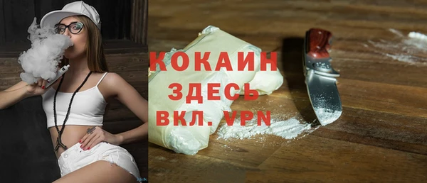 хмурый Горняк