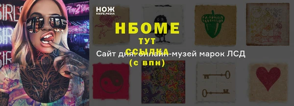 индика Гусев