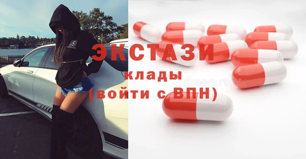 индика Гусев