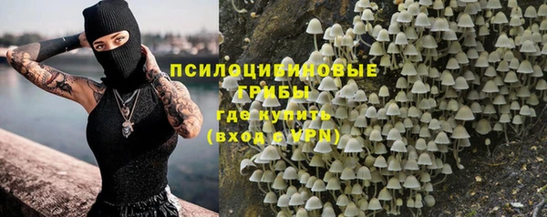 синтетический гашиш Горнозаводск
