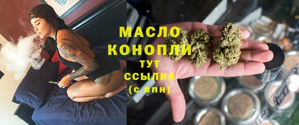 амф Гусиноозёрск