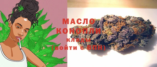 индика Гусев