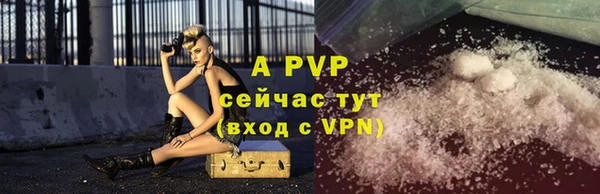 амф Гусиноозёрск