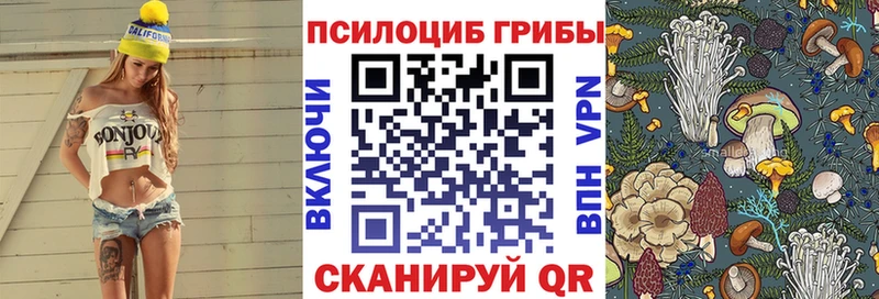 Галлюциногенные грибы GOLDEN TEACHER Купить закладки Камызяк